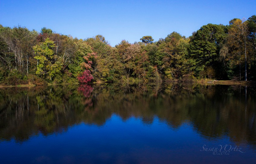 Photo of Lake surrounded by Autumn Leaves